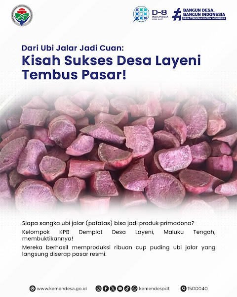Dari Ubi Jalar Jadi Cuan, Desa Layeni Tembus Pasar Resmi