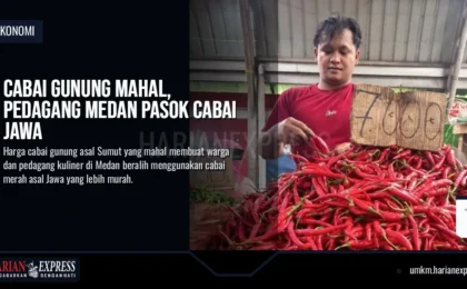 Cabai Gunung Mahal, Pedagang Medan Pasok Cabai Jawa
