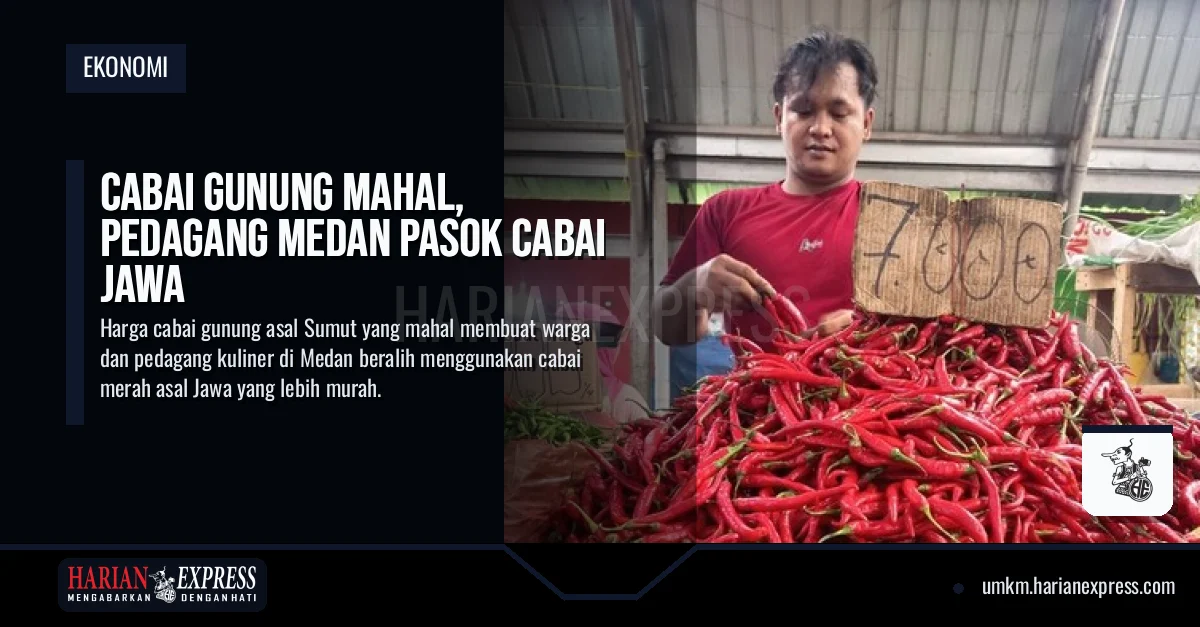 Cabai Gunung Mahal, Pedagang Medan Pasok Cabai Jawa