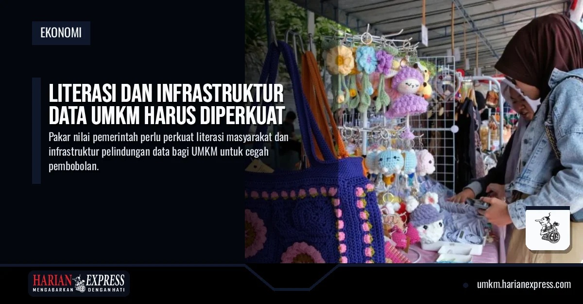 Literasi dan Infrastruktur Data UMKM Harus Diperkuat