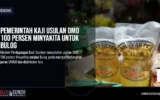 Pemerintah Kaji Usulan DMO 100 Persen MinyaKita untuk Bulog