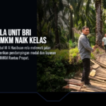 perjuangan kepala unit bri dampingi Perjuangan Kepala Unit BRI Sigambal Dampingi UMKM