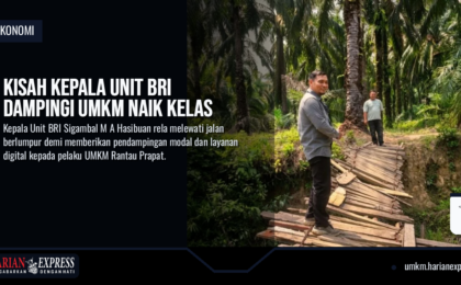 Perjuangan Kepala Unit BRI Sigambal Dampingi UMKM Naik Kelas